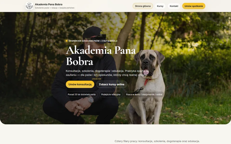 Widok strony internetowej Akademia Pana Bobra